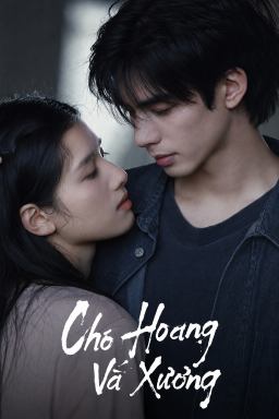 Xem Phim Chó Hoang Và Xương Vietsub HD Online